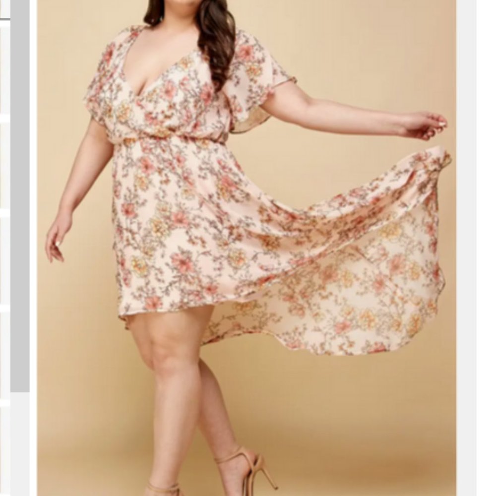 NWT Plus Size Flutter Sleeve Floral Pink Dress